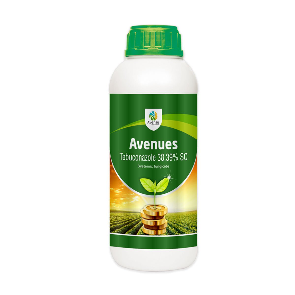 AVENUES