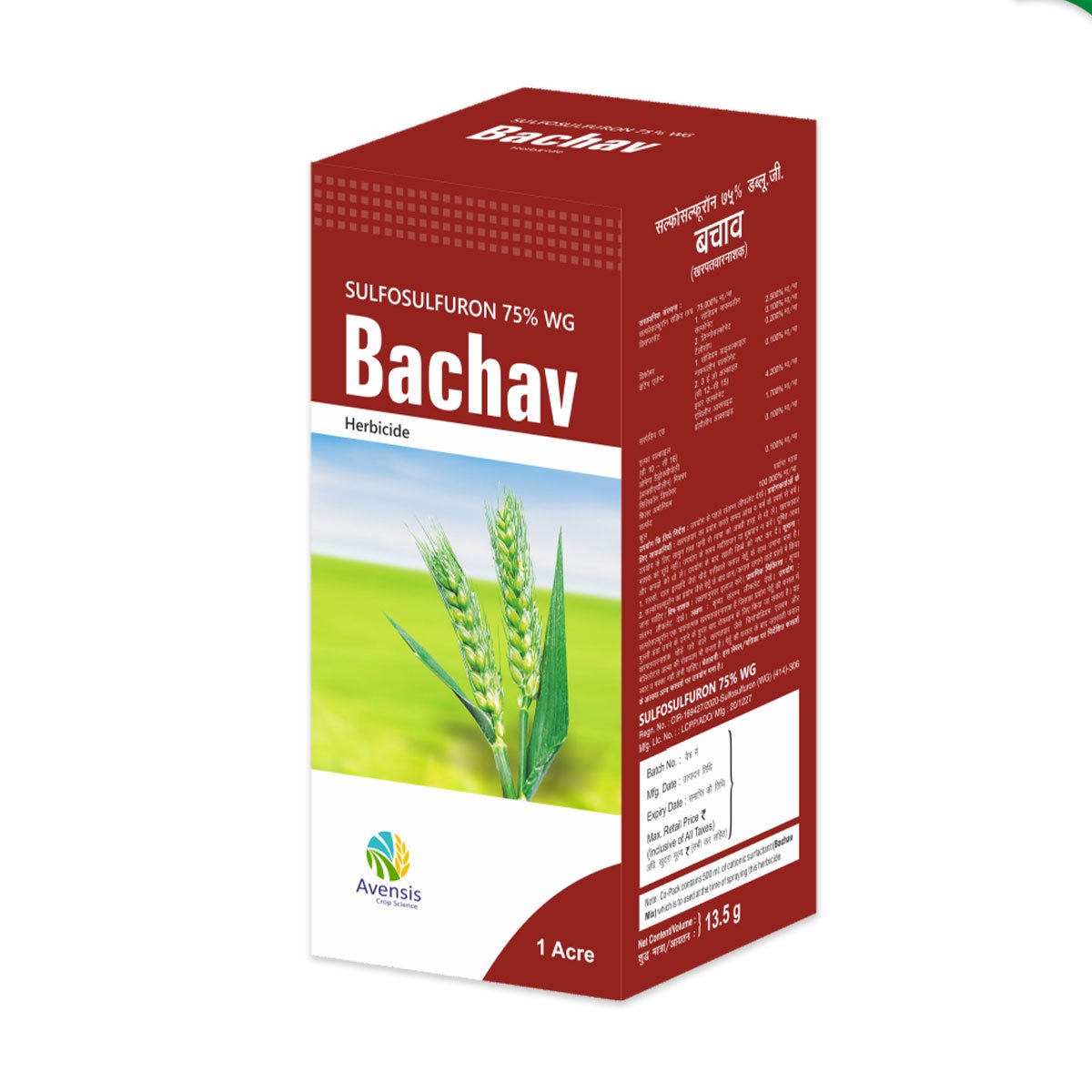 BACHAV