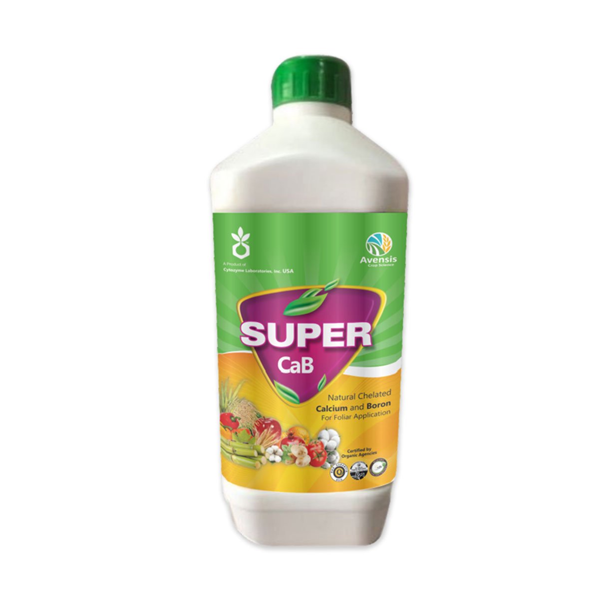 SUPER CAB