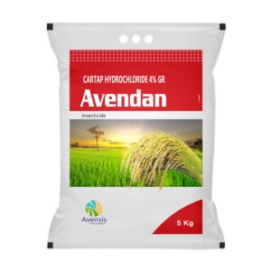 10-avendan