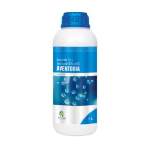 18-aventodia