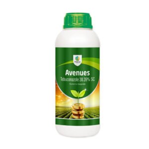 20-avenues
