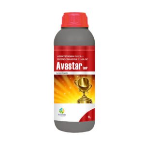 25-avastor-top