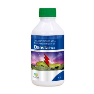 27-banstar-505