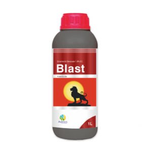 28-blast