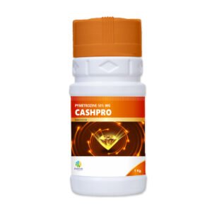 29-cashpro