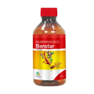 30-banstar