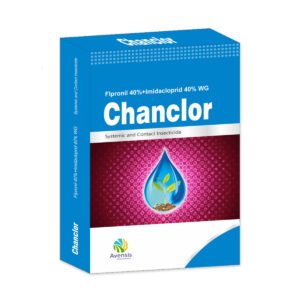 33-chanclor