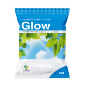 43-glow