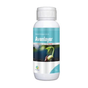 8-avenlayer