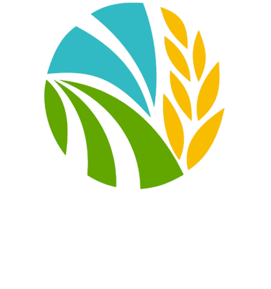footer-logo