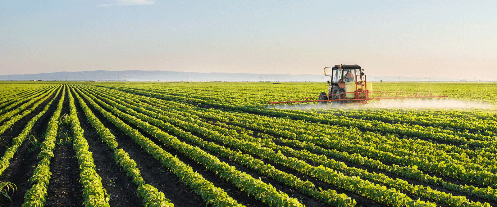 Healthy Harvests, A Bright Future.