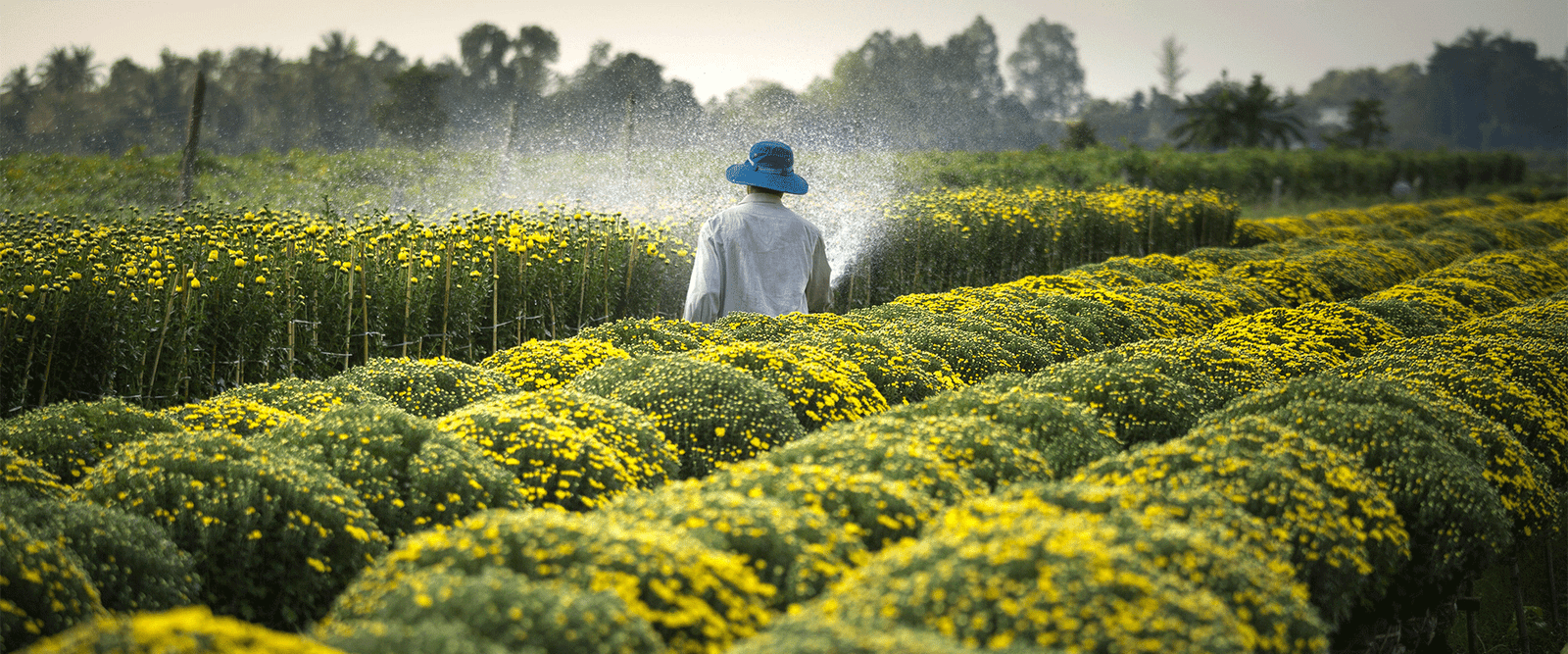 Solutions for Thriving Crops Supported by Science.